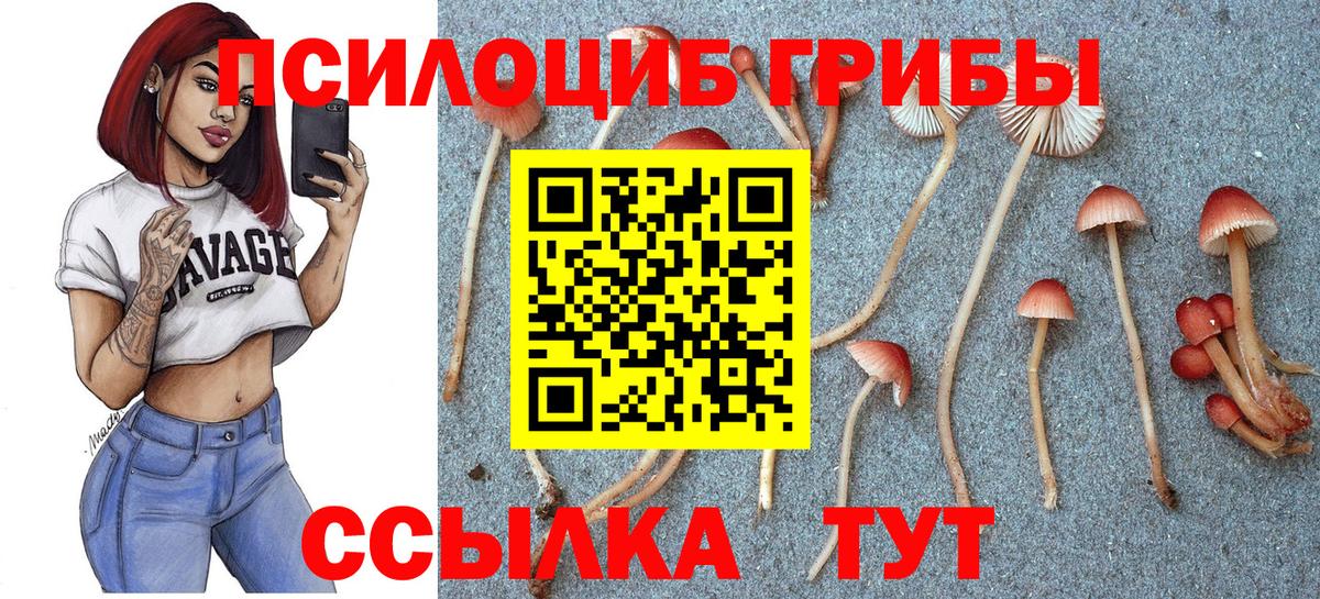 Псилоцибиновые грибы MAGIC MUSHROOMS Псков