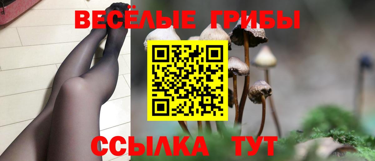 Псков  Галлюциногенные грибы Magic Shrooms  Вход с VPN  Псилоцибиновые грибы Psilocybe 