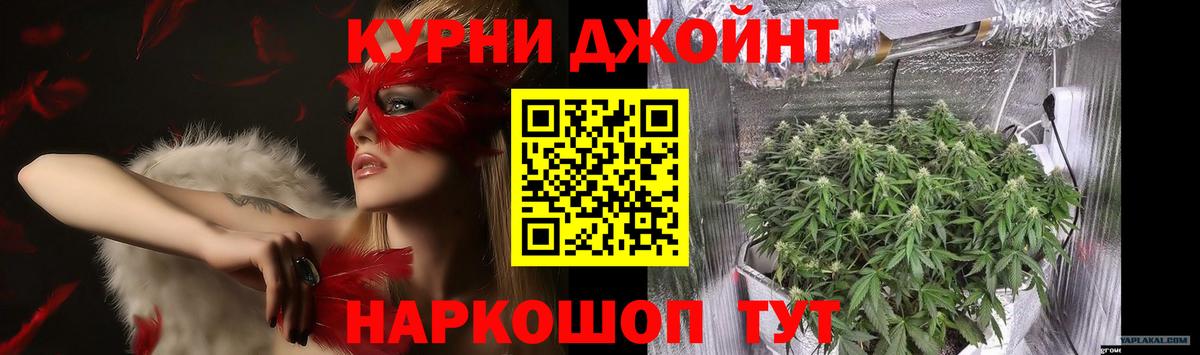 Канабис OG Kush Псков